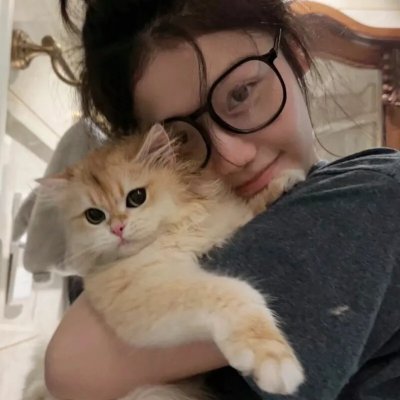 猎鹰飞过