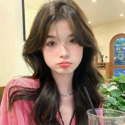 海豚的故事2